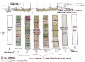 museum garden layout